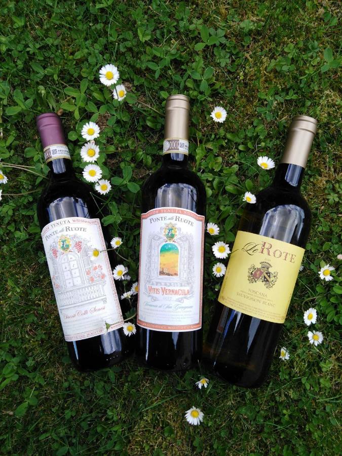Agriturismo Le Rote Willa San Gimignano Zewnętrze zdjęcie